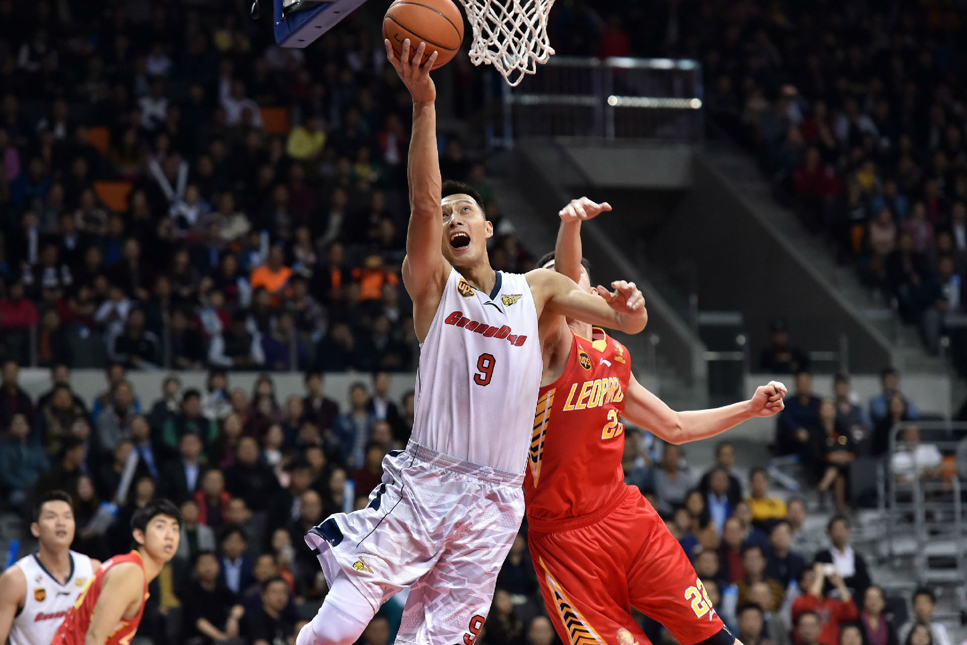 具体原因需 具体原因需