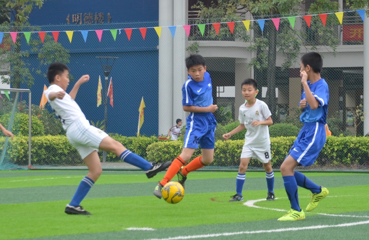 长期付费 长期付费